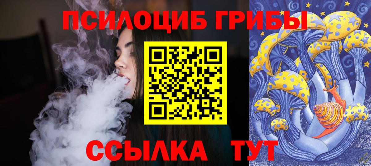 Псилоцибиновые грибы Psilocybine cubensis Шумерля